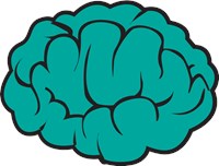 Blue / Green brain 1000