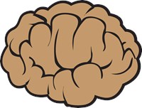 Tan Brain 1029