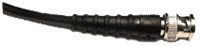 BNC  113