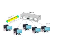 Illustration of switches and hubs 125