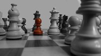 Chess set with the pawn colored 1265