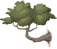 a tree branch with leaves growing out of the side of a large rock wall 1563