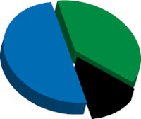 a green, blue and black pie chart 1574