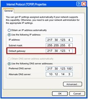 Screenshot of the Internet Protocol(TCP/IP) Properties, Highlighting the Default Gateway. 163