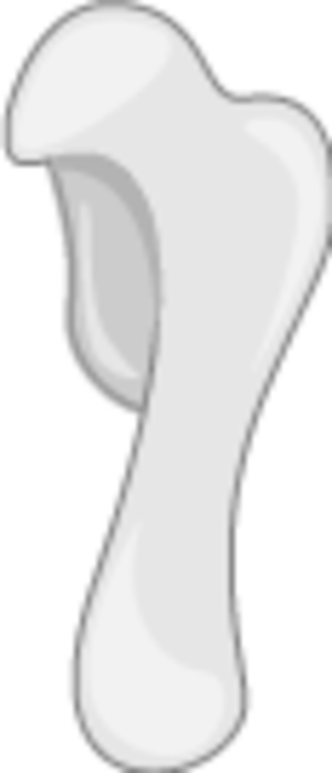 Small Drip 1667
