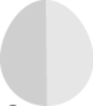 Oval Head 1776