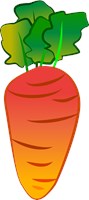 orange cartoon carrot 181