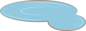 Pond 2304
