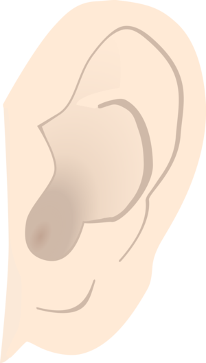 Ear 2371