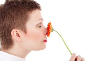 Adult smelling flower 2384
