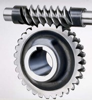 gear and worm photo 242