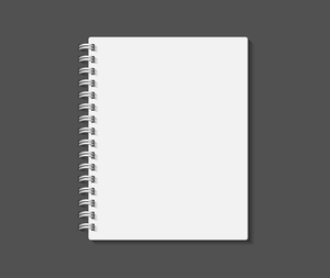 The Notebook 2594