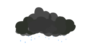 Raincloud 2838