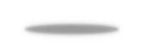 Shadow 2954