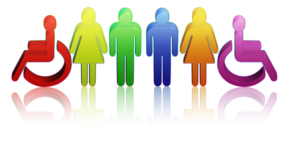 Demographic Diversity 2993