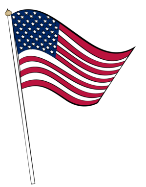 American flag 3007