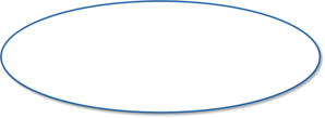 Lg Oval 3054