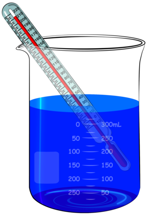 Beaker with Colored Thermometer 3559
