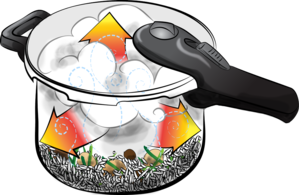 Pressure Cooker 3586