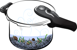 Pressure Cooker1 3587