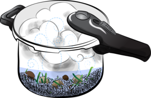 Pressure Cooker2 3588