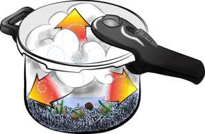 Pressure Cooker3 3589
