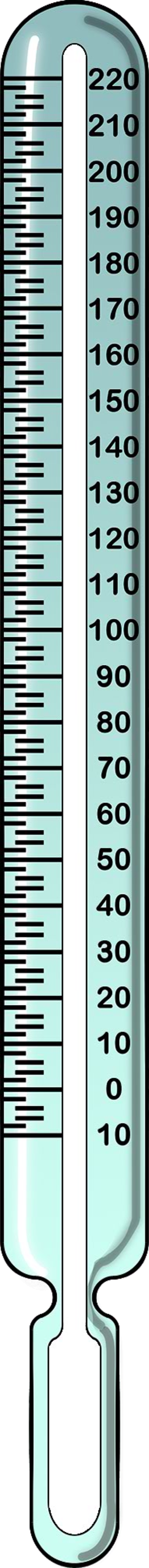 Thermometer Blank 3593