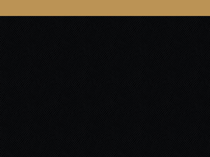 Black with tan strip 5 Zsblf Y56  3739