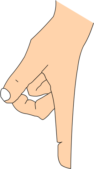 Hand Pointing 3960