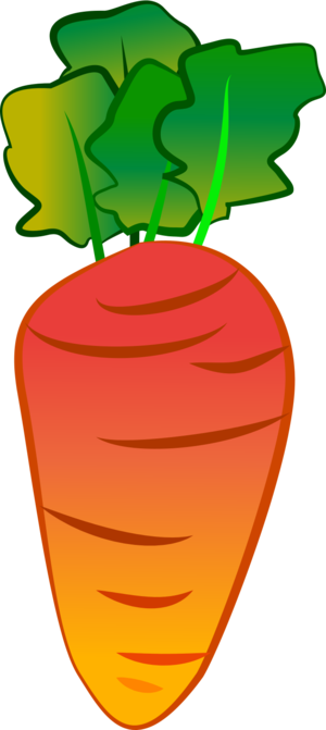 Carrot 4372