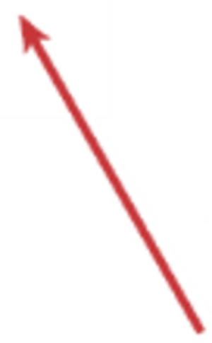 Red Angle Arrow