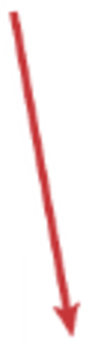 Red Angle Arrow Down 4423