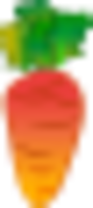 Carrot small 4432