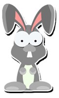 A cute rabbit. 455