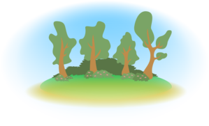 Forrest landscape 4597