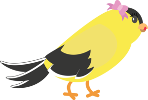 Female Gold Finch 4601