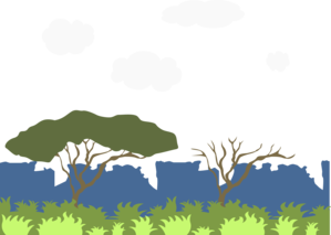 Forrest Scene 4605