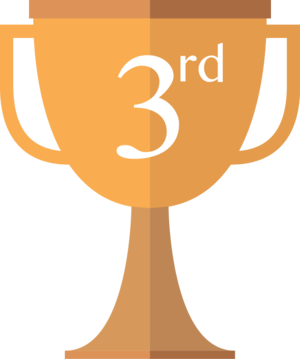 3rd place Trophy 4608