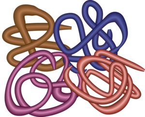 Hemoglobin 4624