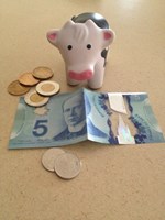 Cow and Fifty Canadian Dollars 511