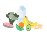 Food containing Calcium 521