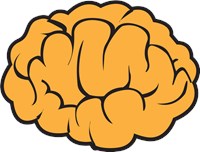 YellowBrain 718