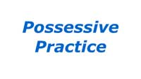 Possessive Practice