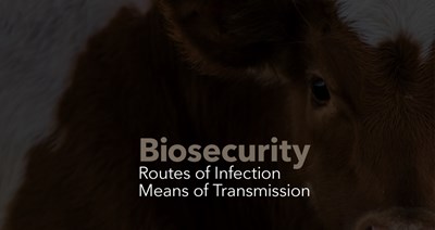 Biosecurity: Routes of Infection and Means of Transmission
