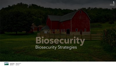 Biosecurity Strategies 