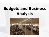 Budgets and Business Analysis
