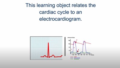 The Electrocardiogram (Screencast)