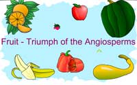 Fruit: Triumph of the Angiosperms
