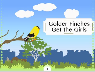 Golder Finches Get the Girls