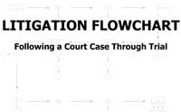 Litigation Flowchart